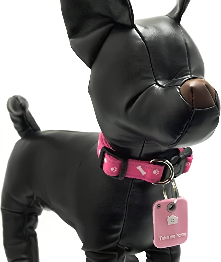 dog tag ドッグタグ 犬 名札 鑑札 楽天市場】【 フルセット ドックタグ 】 名札 迷子札 老人 犬 首輪